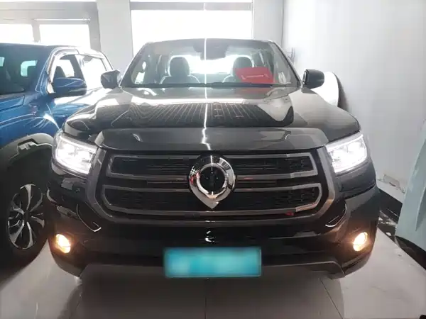 Great Wall Poer 2024