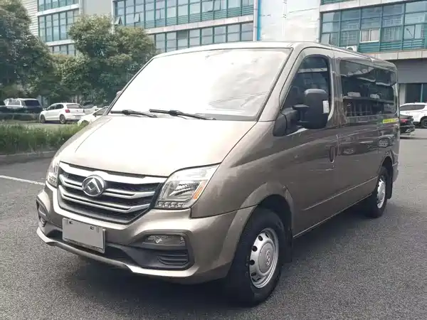Maxus V80 2019