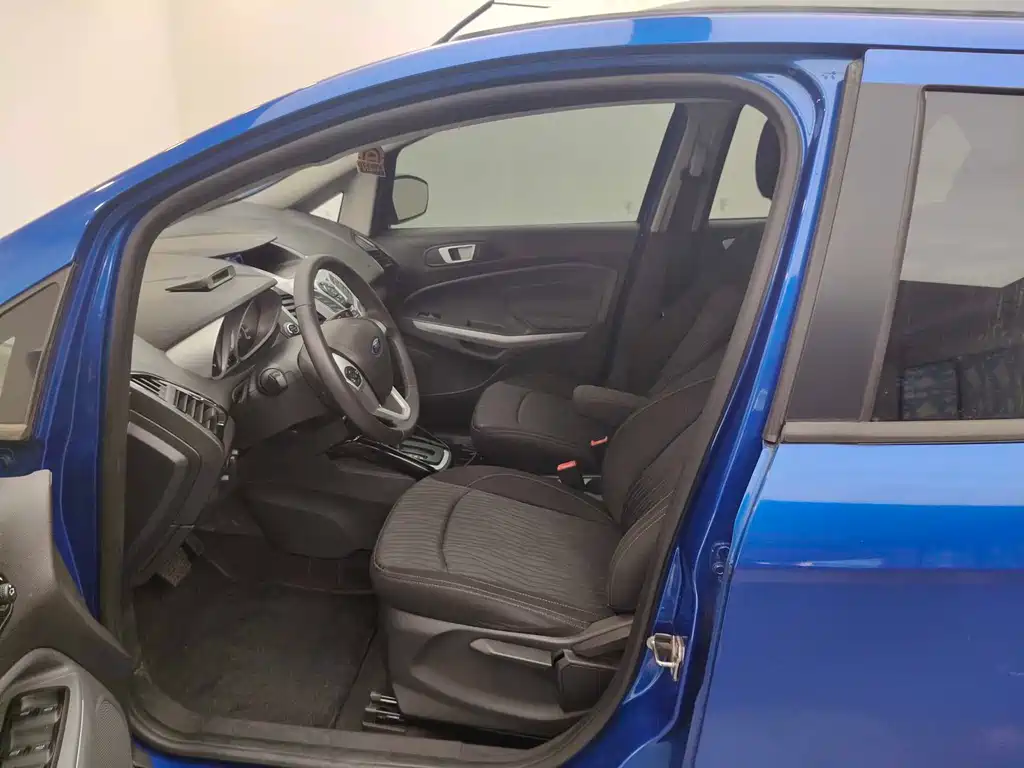 Ford Ecosport 2015 — фото 13