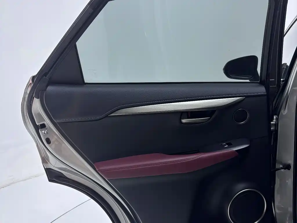 Lexus NX 2020 — фото 10