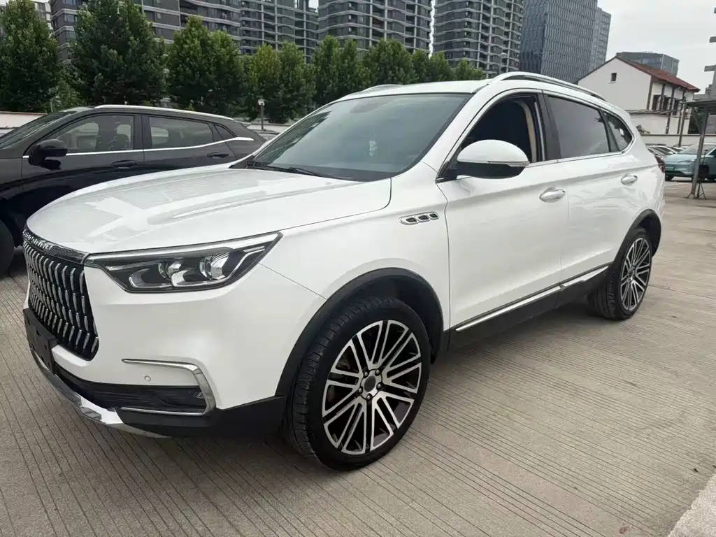 Leopaard Mattu 2019