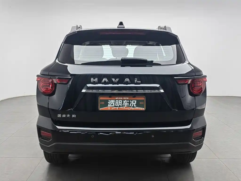 Haval Dog PLUS 2025 — фото 4