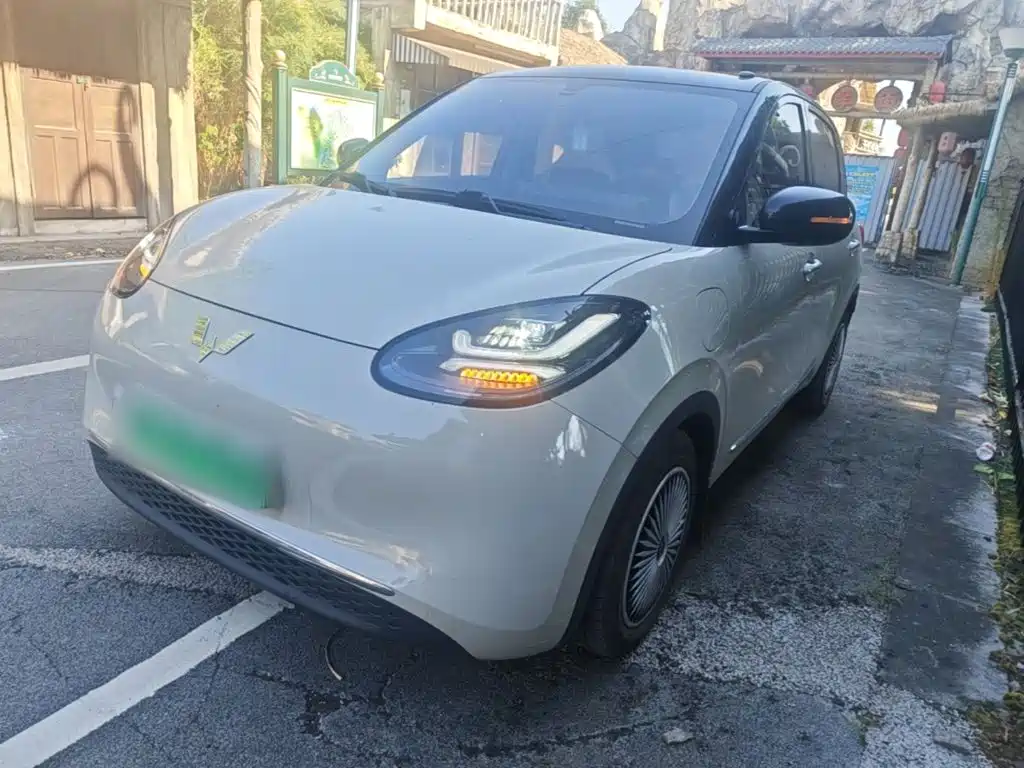 Wuling Bingo 2024