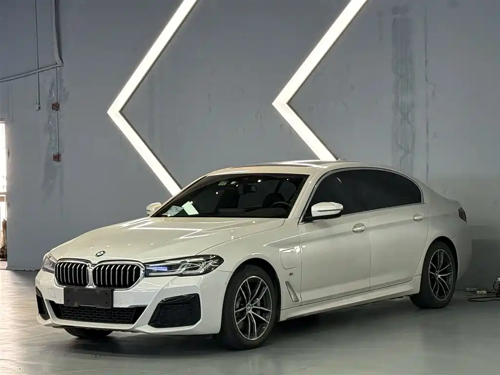 BMW 5 Series New Energy 2021 — фото 1