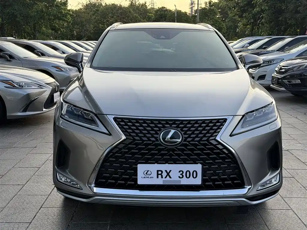 Lexus RX 2020 — фото 2