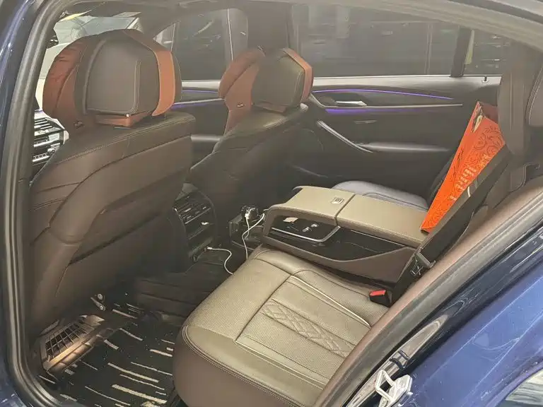 BMW 5 Series New Energy 2021