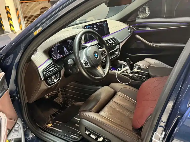 BMW 5 Series New Energy 2021