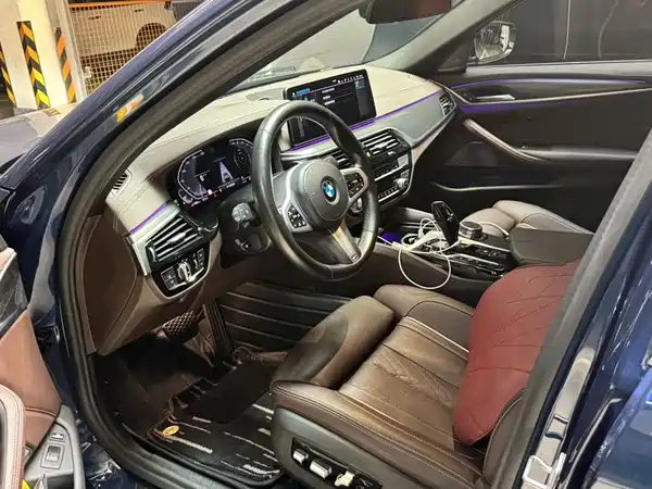BMW 5 Series New Energy 2021