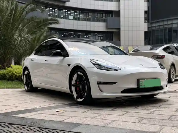 Tesla Model 3 2021