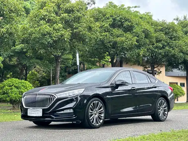Hongqi H5 2020