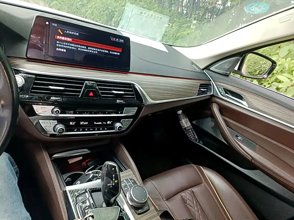 BMW 5 Series 2018 — фото 13