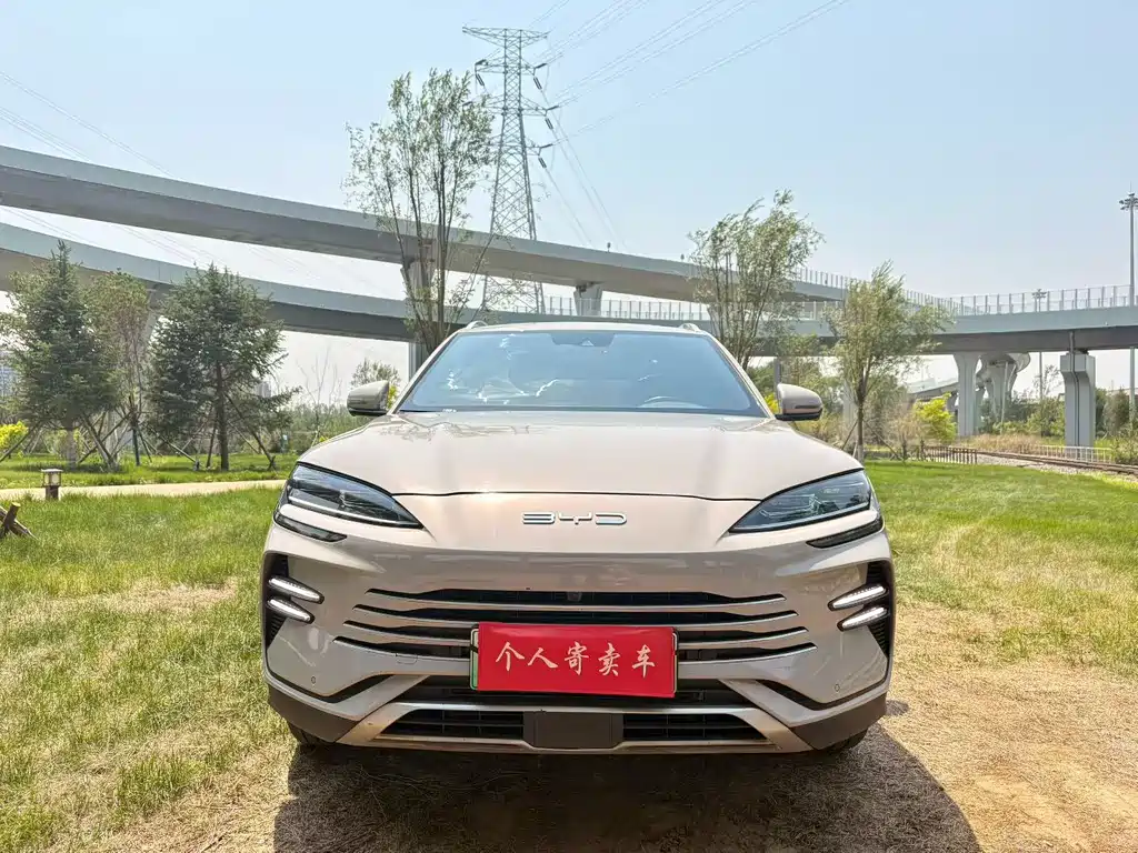 BYD PLUS New Energy 2023 — фото 2