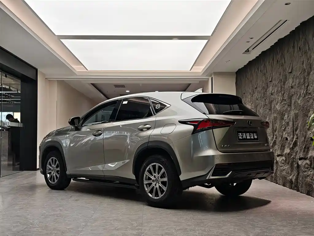Lexus NX 2019 — фото 19