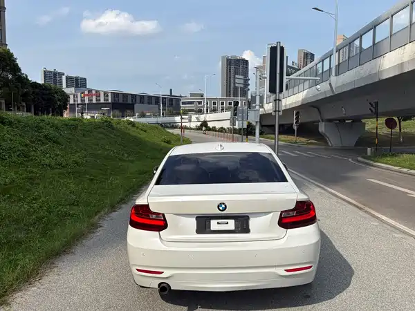 BMW 2 Series 2015