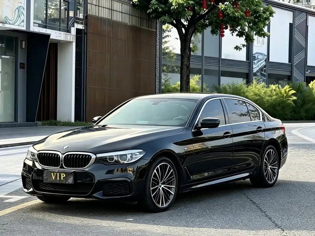 BMW 5 Series 2019 — фото 1