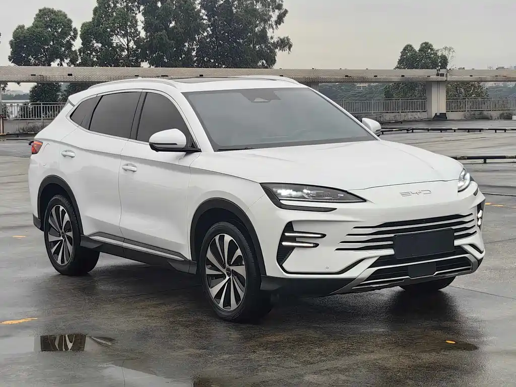 BYD PLUS New Energy 2024 — фото 4