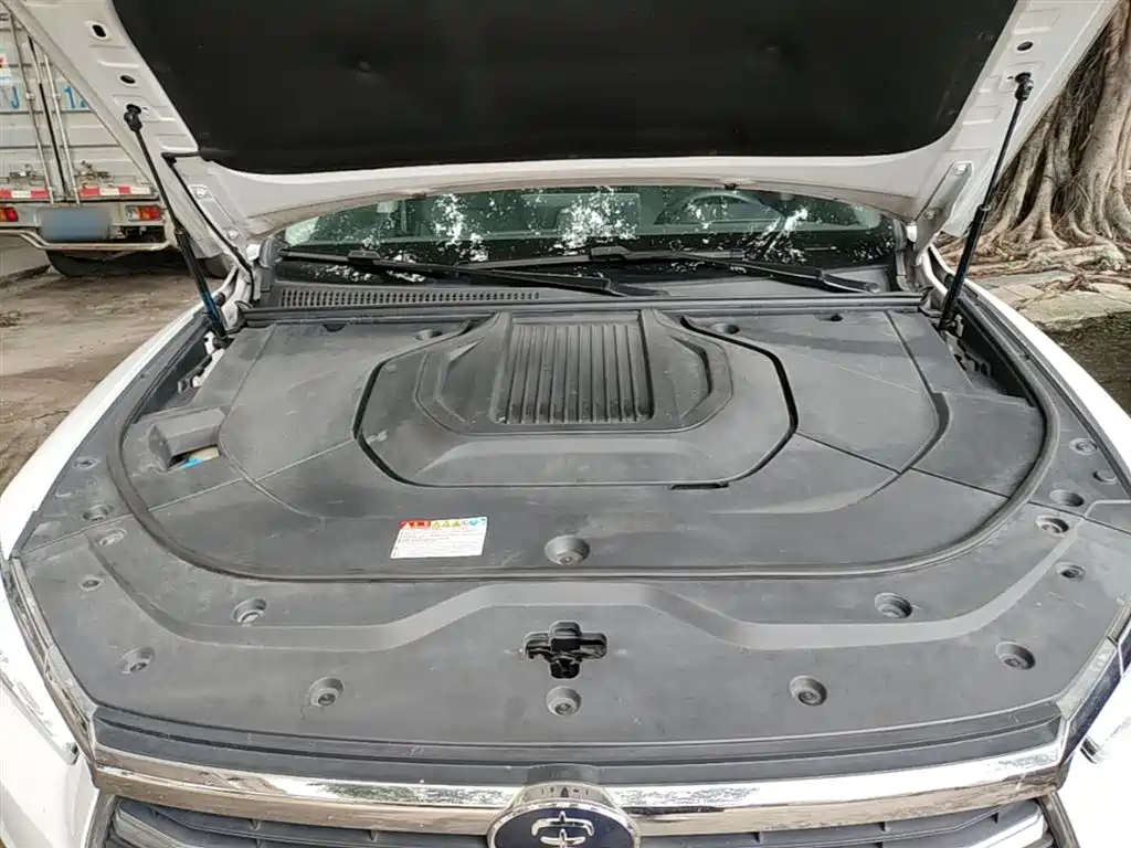 BYD Pro New Energy 2020 — фото 20