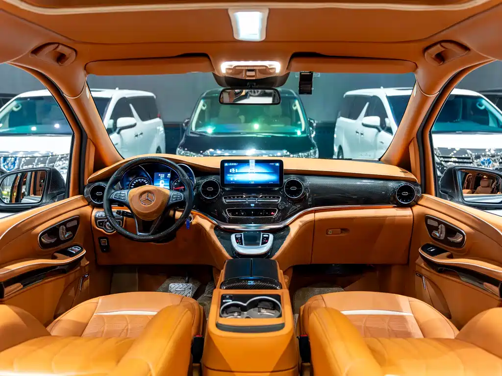 Mansory V-Class 2022 — фото 7