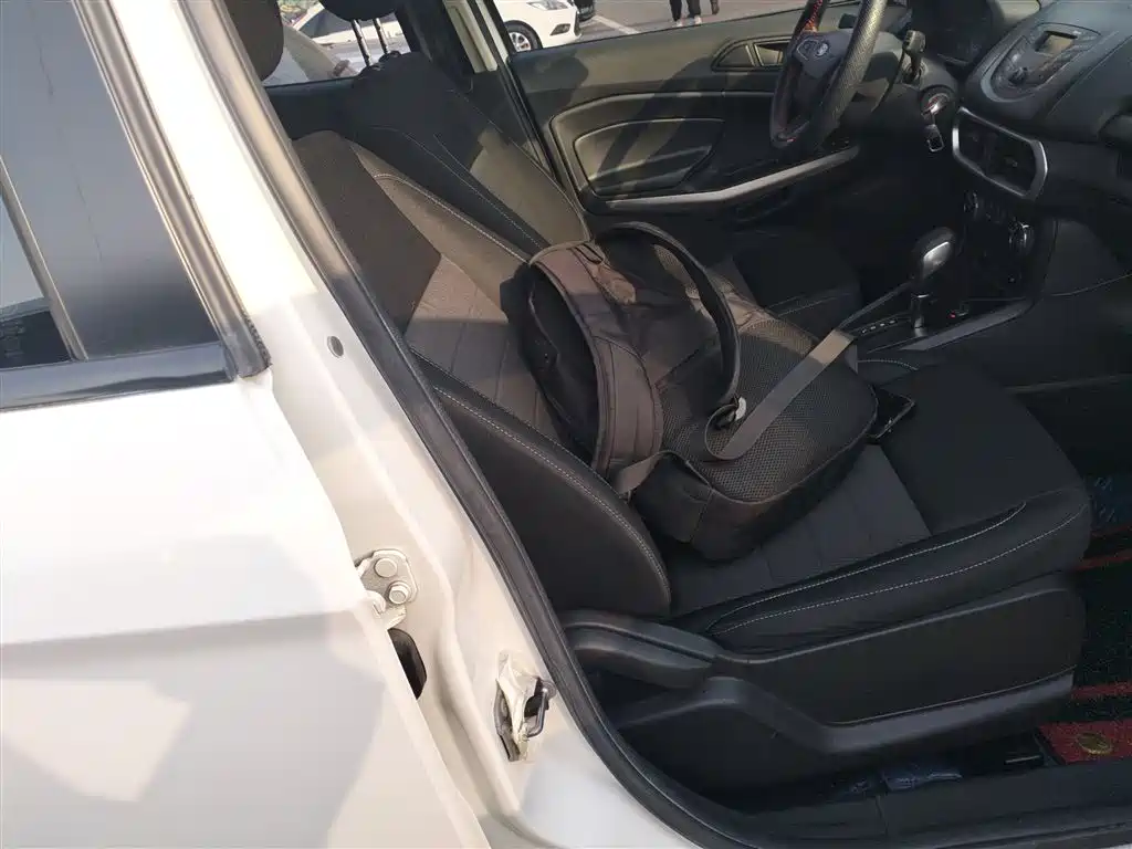 Ford Ecosport 2017 — фото 20