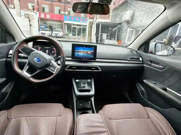BYD e2 2019