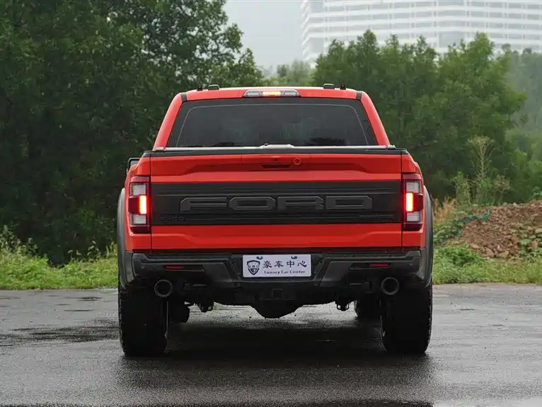 Ford F-150 Raptor 2024 — фото 4