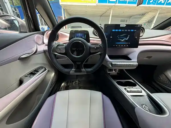 BYD Dolphin 2022