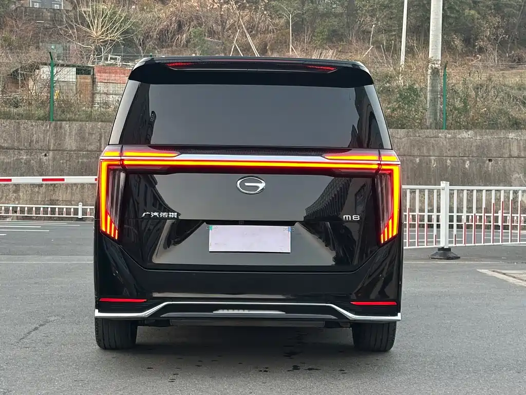 GAC Motor Trumpchi M8 2024 — фото 17
