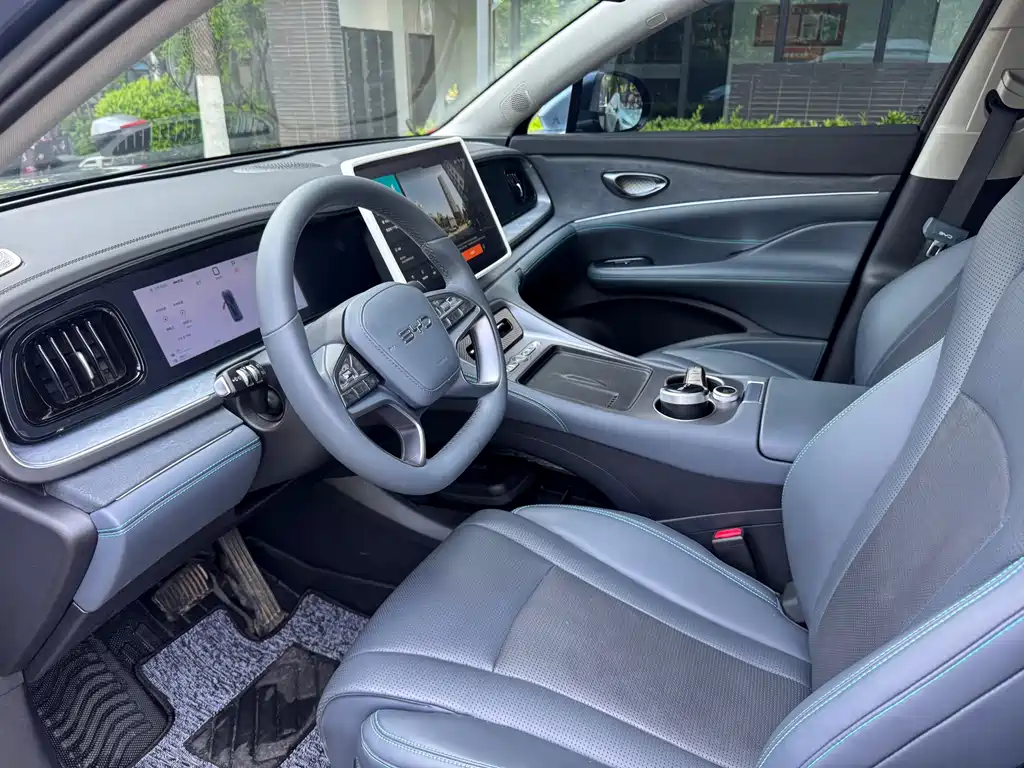 BYD Sealion 07 DM-i 2025 — фото 12