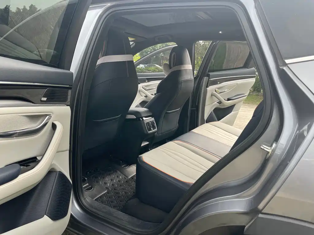 BYD PLUS New Energy 2022 — фото 18