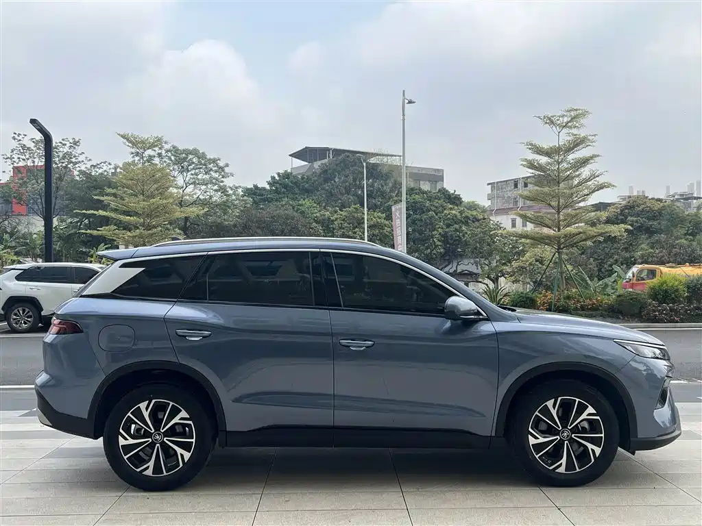 BYD Pro New Energy 2025 — фото 18