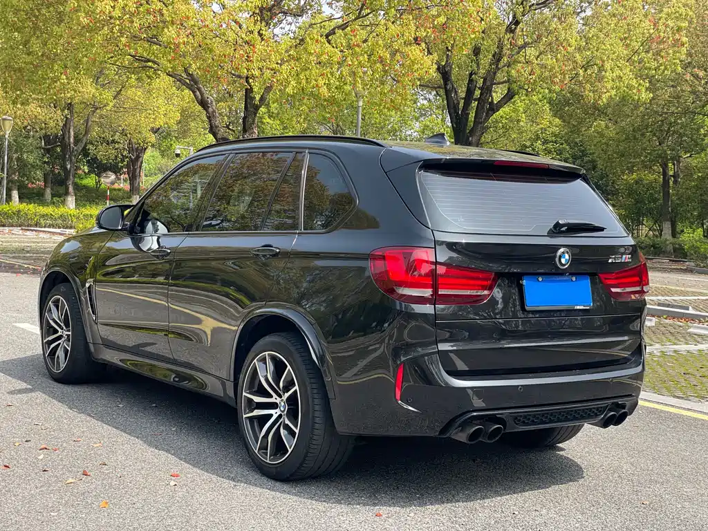 BMW X5 M 2016 — фото 9
