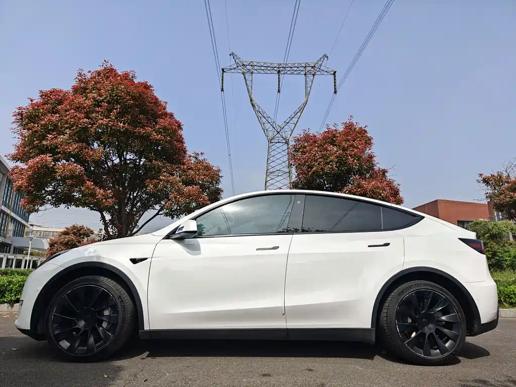 Tesla Model Y 2022 — фото 3