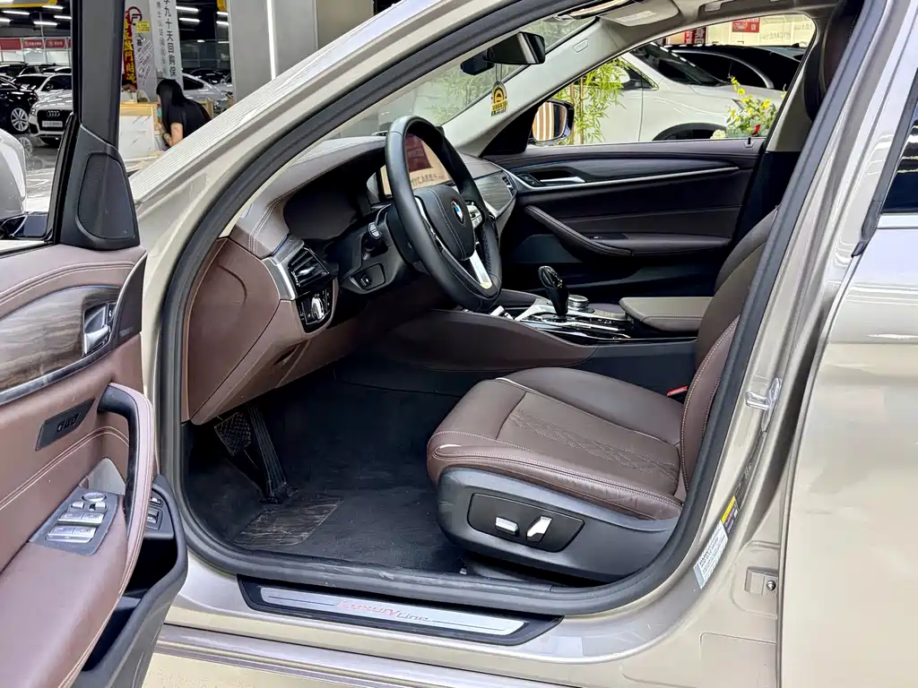 BMW 5 Series New Energy 2021