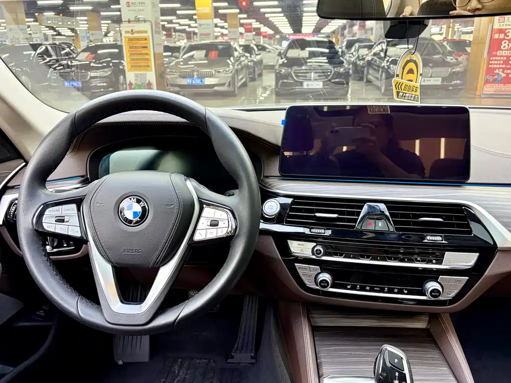 BMW 5 Series New Energy 2021