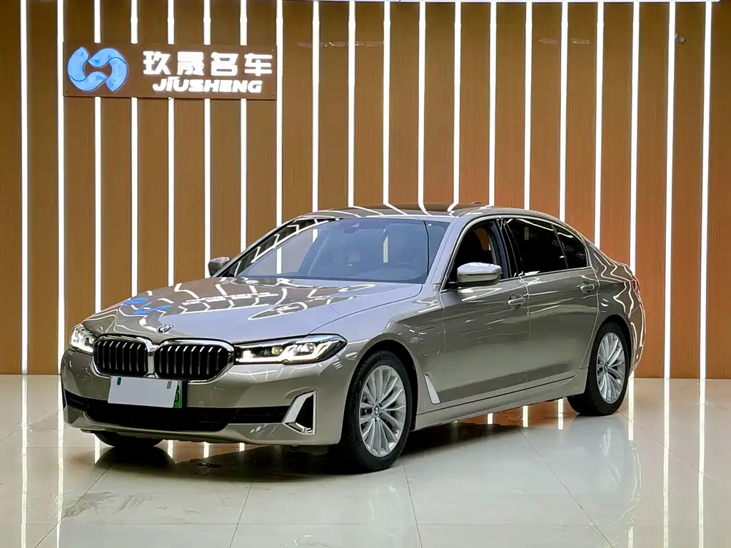 BMW 5 Series New Energy 2021