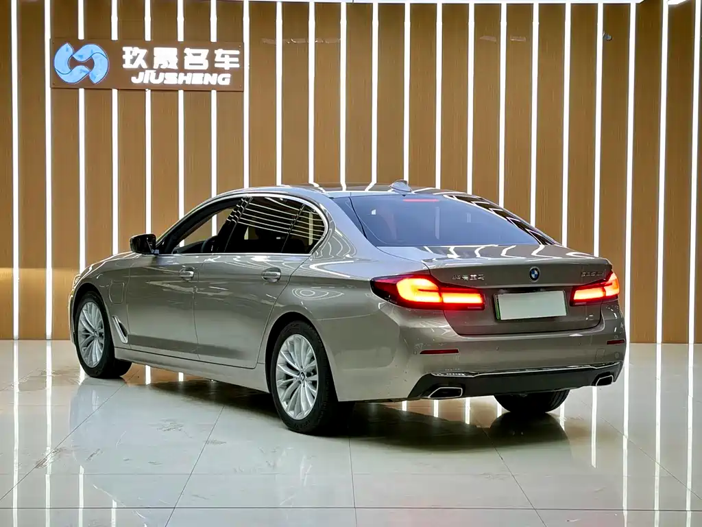 BMW 5 Series New Energy 2021 — фото 14