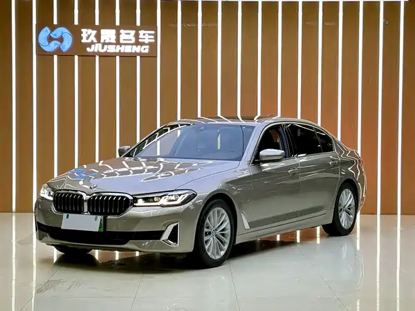 BMW 5 Series New Energy 2021