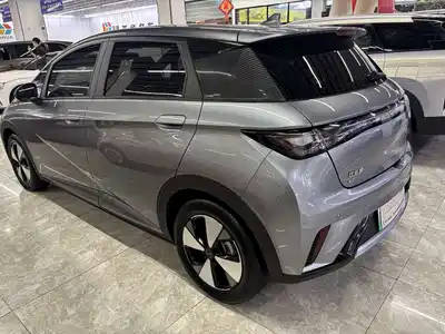 BYD Dolphin 2024
