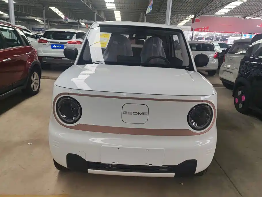 Geely Galaxy Panda 2026