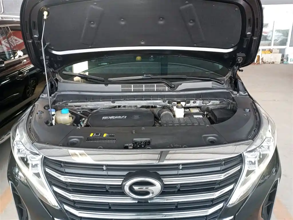 GAC Motor Trumpchi M8 2024 — фото 10