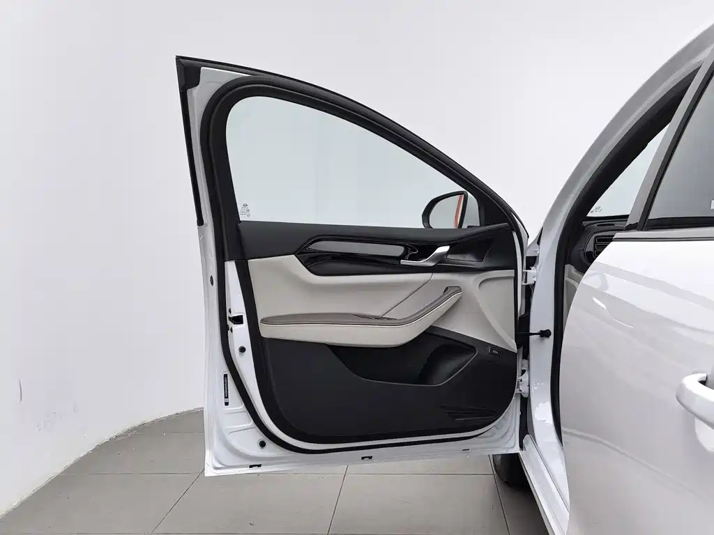 BYD Qin PLUS 2023 — фото 8