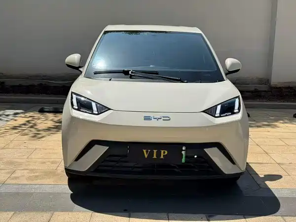 BYD Seagull 2024