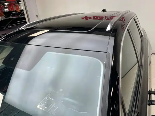 Hongqi E-HS9 2021