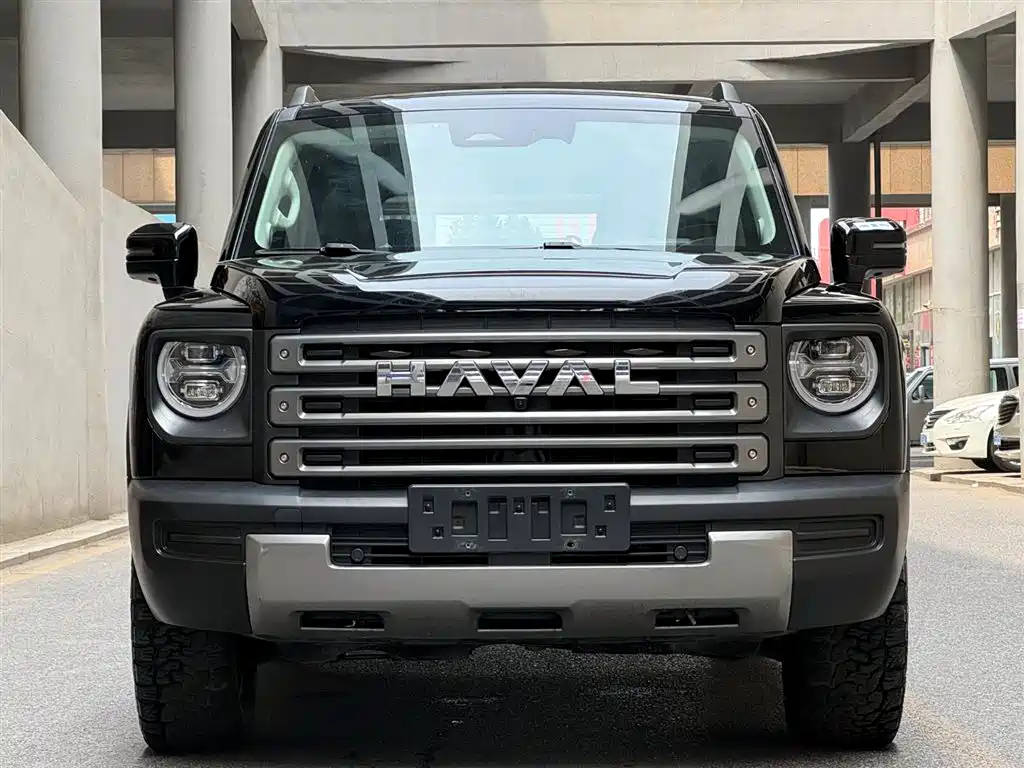 Haval Menglong New Energy 2024