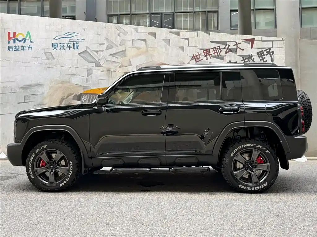 Haval Menglong New Energy 2024