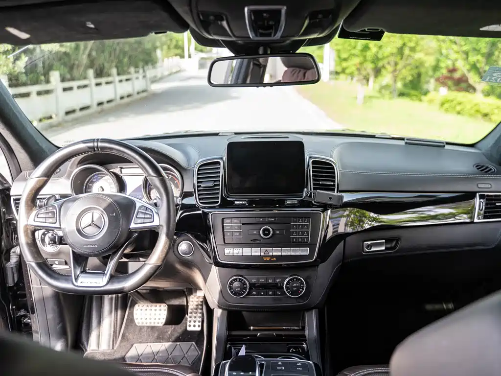 Mercedes-Benz GLS AMG 2017 — фото 13
