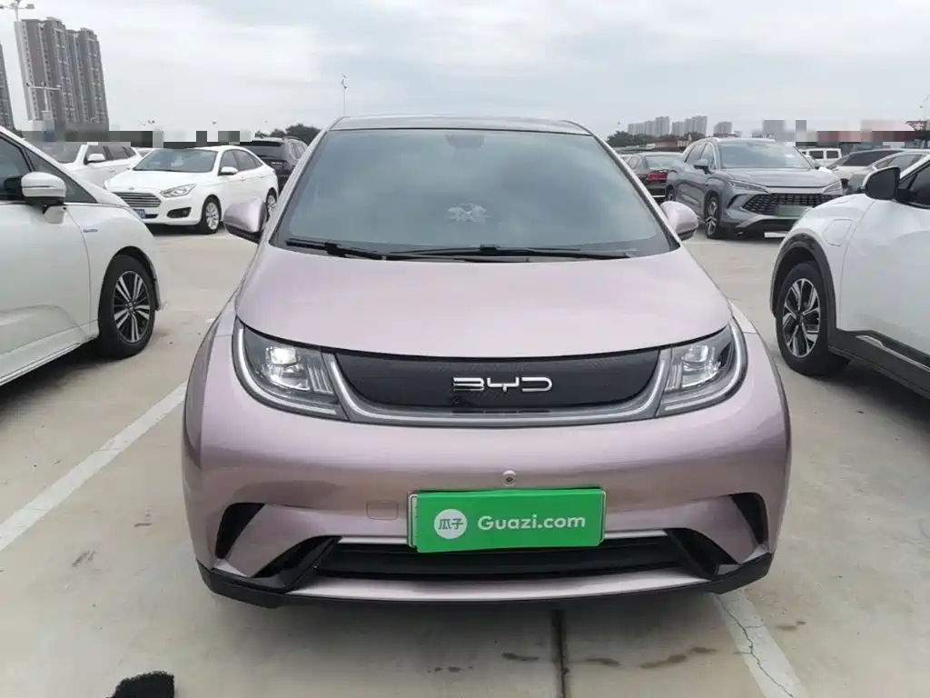BYD Dolphin 2022