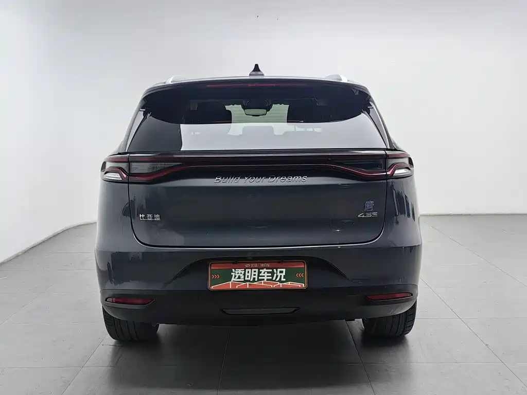 BYD Tang New Energy 2018 — фото 4