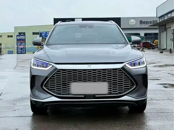 BYD Song PLUS New Energy 2021