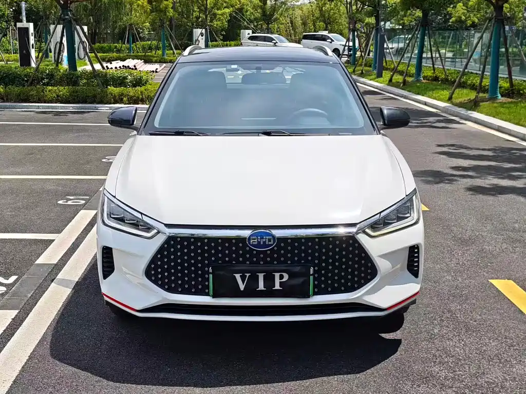 BYD e2 2020